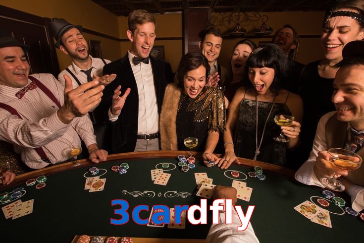 3Cardfly